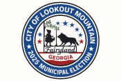 2025 Municipal Election Logo