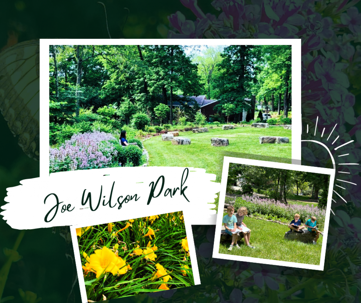 Joe Wilson Park